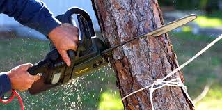 Best Utility Line Clearance  in Hubbard, OH