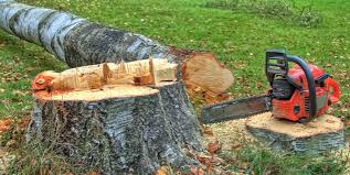 Hubbard, OH Tree Services Pros