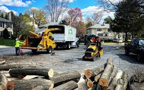 Best Tree Disease Treatment  in Hubbard, OH