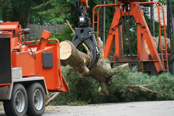 Best Mulching Services  in Hubbard, OH
